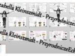 Zestaw 12 sketchnotek i kart pracy + 6 gratisowych linków do prezentacji multimedialnych niekomercyjnych wykonanych w genial.ly do indywidualnego pobrania i użycia do celów niekomercyjnych z przyrody do klasy 4 – dział VII „Poznajemy krajobraz najbliższe