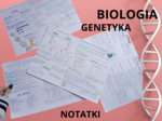 MEGA PAKA: Genetyka & Podziały Komórkowe – Notatki Wizualne: Mitoza, Mejoza, DNA, Krzyżówki genetyczne