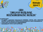 Biologia. Klasa 5. Gra edukacyjna. Organy roślinne. Różnorodność roślin. Korzeń. Łodyga. Liść. Nagonasienne. Okrytonasienne. Karta odpowiedzi. Rysunki.