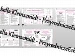 Zestaw sketchnotek – notatek do całego działu „Współrzędne geograficzne” wykonanych w power point do edycji. Geografia 6