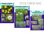 Rośliny obok nas cz.1
