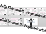 Zestaw sketchnotek i kart pracy + gratisowe linki do prezentacji multimedialnych niekomercyjnych wykonanych w genial.ly do indywidualnego pobrania i użycia do celów niekomercyjnych. Przyroda 4, „Co pokazujemy na mapach?”