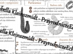 Sketchnotka - notatka „Pierścienice – zwierzęta, które mają segmentowane ciało” wykonana w power point do edycji. Biologia 6; „Od parzydełkowców do pierścienic”