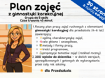 Roczny Plan Pracy z gimnastyki korekcyjnej