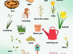 Spring Picture Dictionary