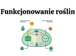 funkcjonowanie roślin KLASA 2 BIOLOGIA ROZSZERZONA