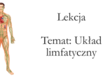 Klasa 7 - Układ limfatyczny - prezentacja