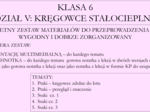 Klasa 6 - Kręgowce stałocieplne - zestaw