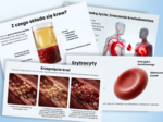 BUDOWA I FUNKCJE KRWI - prezentacja, lekcja - klasa 7, quiz, biologia, Puls Życia