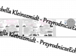 Minizestaw na temat „Wpływ transportu na rozwój przemysłu i usług” – sketchnotka + karta pracy w power point + gratisowy link do prezentacji multimedialnej niekomercyjnej wykonanej w genial.ly do indywidualnego pobrania i użycia do celów niekomercyjnych.
