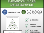 Trimino - Dodawanie dodatnich i ujemnych liczb dziesiętnych | matematyka