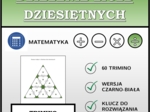 Trimino - Dzielenie liczb dziesiętnych | matematyka