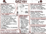 Grzyby - kolor (klasa 5)
