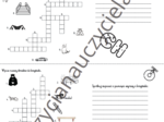 Ortografia: krzyżówki, wykreślanki, labirynty.