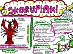 Klasa 6. Biologia. Skorupiaki (karta pracy kolorowa)