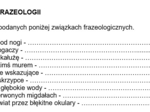 Ćwiczenia gramatyczne (składnia, słowotwórstwo, fleksja, frazeologia, leksyka) - na zastępstwo