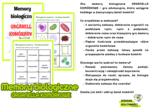 Memory biologiczne ORGANELLA KOMÓRKOWE (biologia/zajęcia rozwijające)