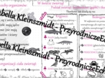 Sketchnotka - notatka „Królestwo zwierząt” wykonana w power point do edycji. Biologia 6; „Świat zwierząt”