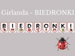 Girlanda dla grupy BIEDRONKI