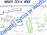 Warunki życia w wodzie
