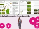 Minizestaw do tematu „Mchy” – sketchnotka + karta pracy w pdf + gratisowy link do prezentacji multimedialnej niekomercyjnej wykonanej w genial.ly do indywidualnego pobrania i użycia do celów niekomercyjnych. Biologia 5, Dział „Różnorodność roślin”.