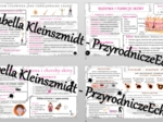 Zestaw sketchnotek – notatek do całego działu „Organizm człowieka. Skóra” wykonanych w power point do edycji. Biologia 7
