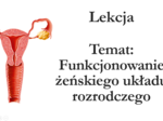 Klasa 7 - Funkcjonowanie żeńskiego układu rozrodczego - prezentacja
