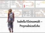 Materiał do zalaminowania/praca w grupach/stacje zadaniowe/układanka/puzzle okienkowa „Obwodowy układ nerwowy „Łuk odruchowy”, „Droga impulsu nerwowego” w pdf. Biologia 7 dział „Regulacja nerwowo - hormonalna”.