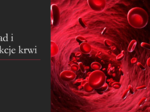 Skład i funkcje krwi 3 KLASA ROZSZERZENIE BIOLOGIA