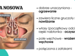 układ oddechowy KLASA 3 ROZSZERZENIE BIOLOGIA