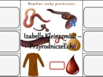 Notatka okienkowa/stacja zadaniowe/notatka interaktywna/notatka graficzna/karta pracy/sketchnotka „Pierścienice”, „Pierścienice-zwierzęta, które mają segmentowane ciało” w pdf. Biologia 5 , dział „Od parzydełkowców do pierścienic”. Materiał wykonany na p
