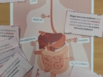 Trawienie pokarmu - karta pracy