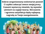 DZIEŃ WOLONTARIUSZA - zestaw materiałów na gazetkę szkolną - 5 grudnia