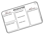 Ekosystem - biologia - klasa 8