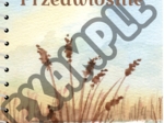 "Przedwiośnie" - notatka