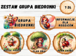 ZESTAW GRUPOWY GRUPA "BIEDRONKI" 2