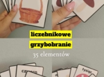 "Liczebnikowe grzybobranie" - 35 elementów