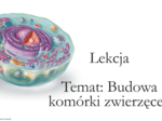 Klasa 5 - Budowa komórki zwierzęcej - prezentacja