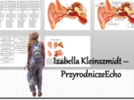 Materiał do zalaminowania/praca w grupach/stacje zadaniowe/układanka/puzzle. „Ucho - narząd słuchu i równowagi”, Biologia 7. Dział „Narządy zmysłów”