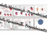 Minizestaw na temat „Budowa i funkcje serca” – sketchnotka + karta pracy w power point + gratisowy link do prezentacji multimedialnej niekomercyjnej wykonanej w genial.ly do indywidualnego pobrania i użycia do celów niekomercyjnych. Biologia 7, „Układ kr