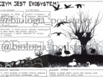 Klasa 8 - Czym jest ekosystem? - sketchnotka