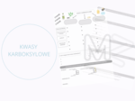 Karta pracy - KWASY KARBOKSYLOWE
