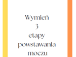 Gra "Układ wydalniczy" - powtórzenie wiadomości biologia klasa 7