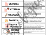 Dopasowywanka / memory choroby i urazy skóry