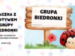 Grupa Biedronki