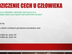 Dziedziczenie cech u człowieka - prezentacja