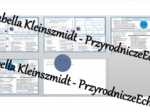 Minizestaw na temat „Budowa i funkcjonowanie układu odpornościowego” – sketchnotka + karta pracy w power point + gratisowy link do prezentacji multimedialnej niekomercyjnej wykonanej w genial.ly do indywidualnego pobrania i użycia do celów niekomercyjnyc