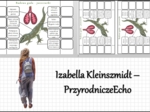 Notatka okienkowa „Budowa jaszczurki”, „Gady-kręgowce, które opanowały ląd” w pdf. Biologia 6 dział „Kręgowce zmiennocieplne”.