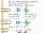 Klasa 7. Chemia - Wiązanie kowalencyjne. Sketchnotka. Bajkowa chemia.