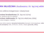 Organizm człowieka jako funkcjonalna całość + skóra KLASA 3 ROZSZERZENIE BIOLOGIA